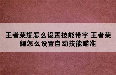 王者荣耀怎么设置技能带字 王者荣耀怎么设置自动技能瞄准